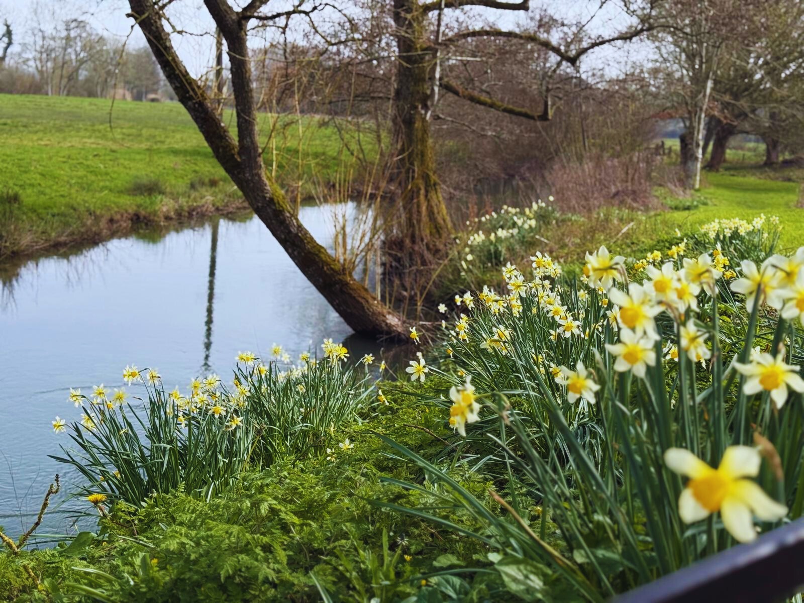 Spring at a Riverside Pub in the Cotswolds 